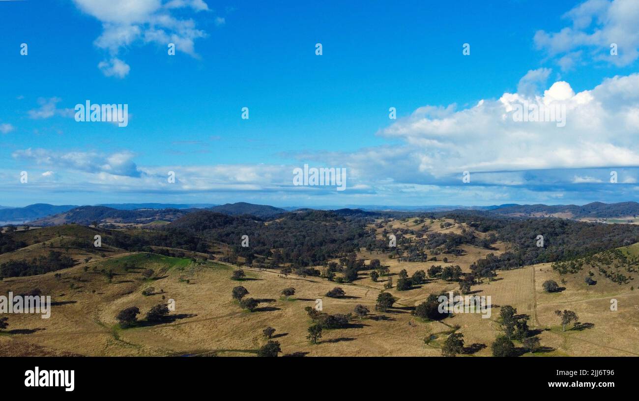 An aerial view of a landscape surrounded by growing trees under a blue