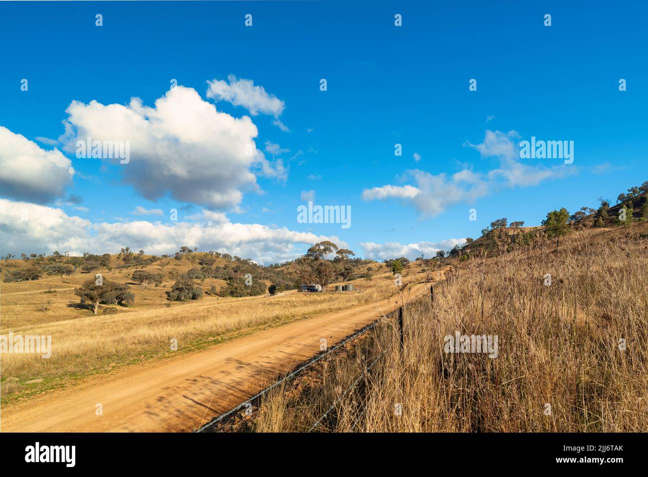 A landscape surrounded by growing trees under a blue bright sky in
