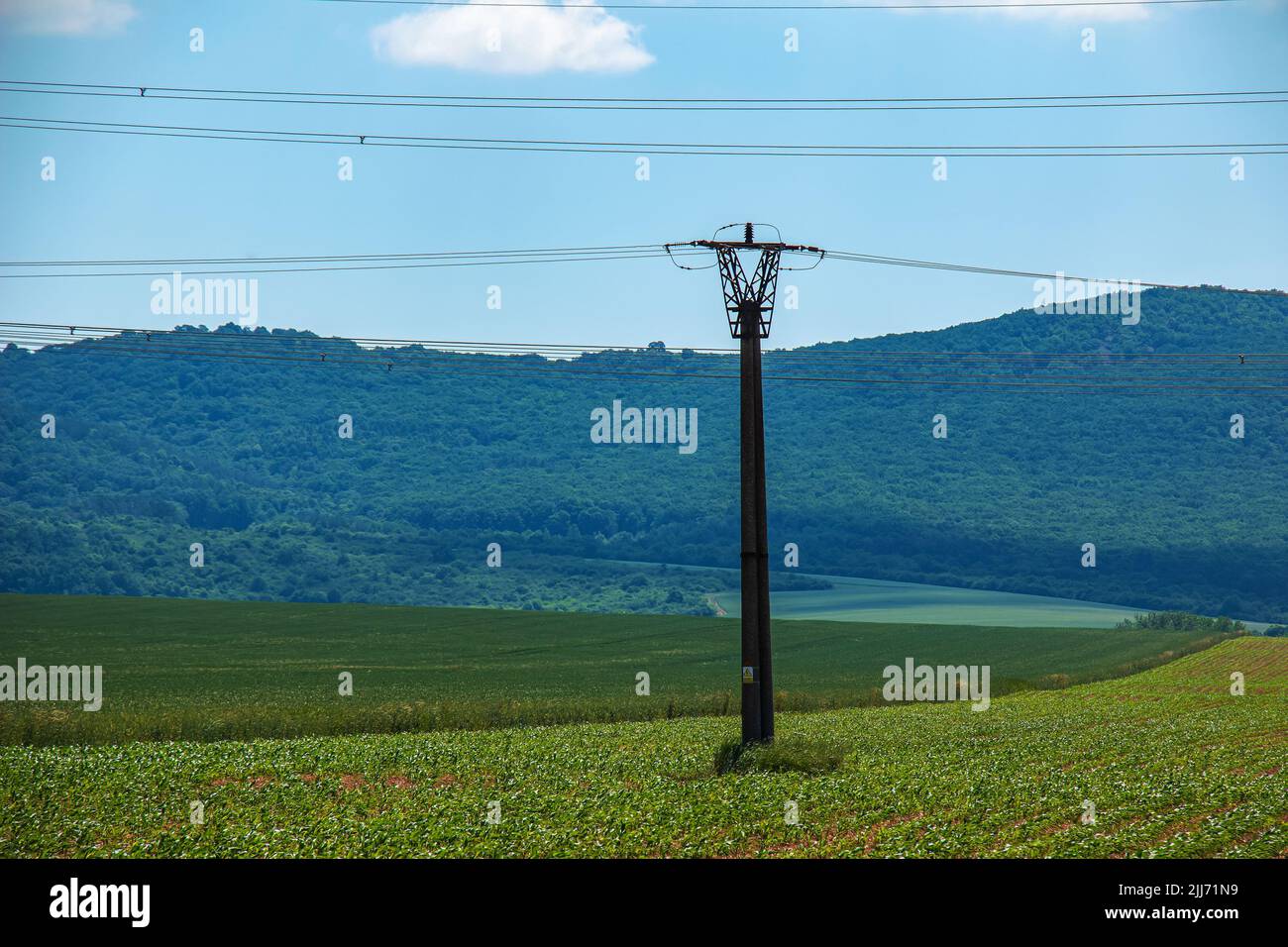 High voltage lines and power pylons in a green landscape on a sunny day ...