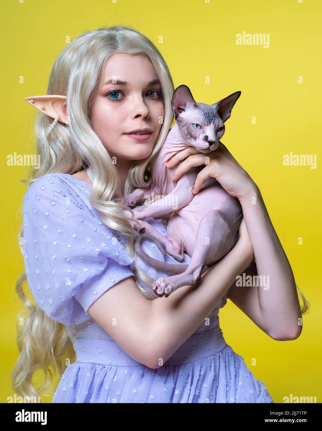 Cosplayer elf young female in blue dress is holding in hands pretty Sphinx kitten on yellow background and looking at camera Stock Photo