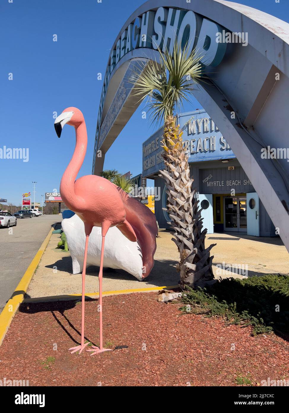 2/20/22, Hamer, South Carolina South of the Border roadside