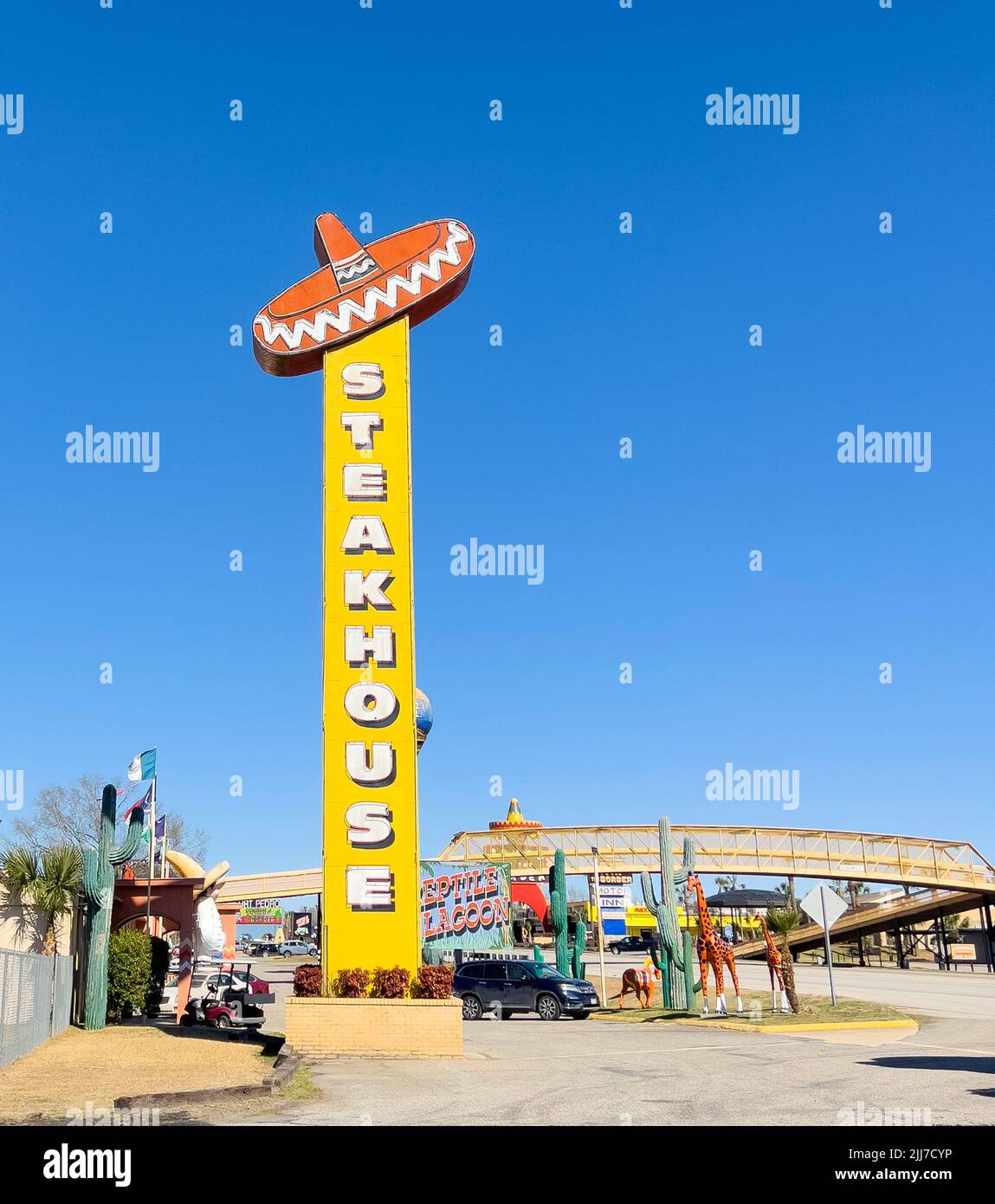 2/20/22, Hamer, South Carolina South of the Border roadside