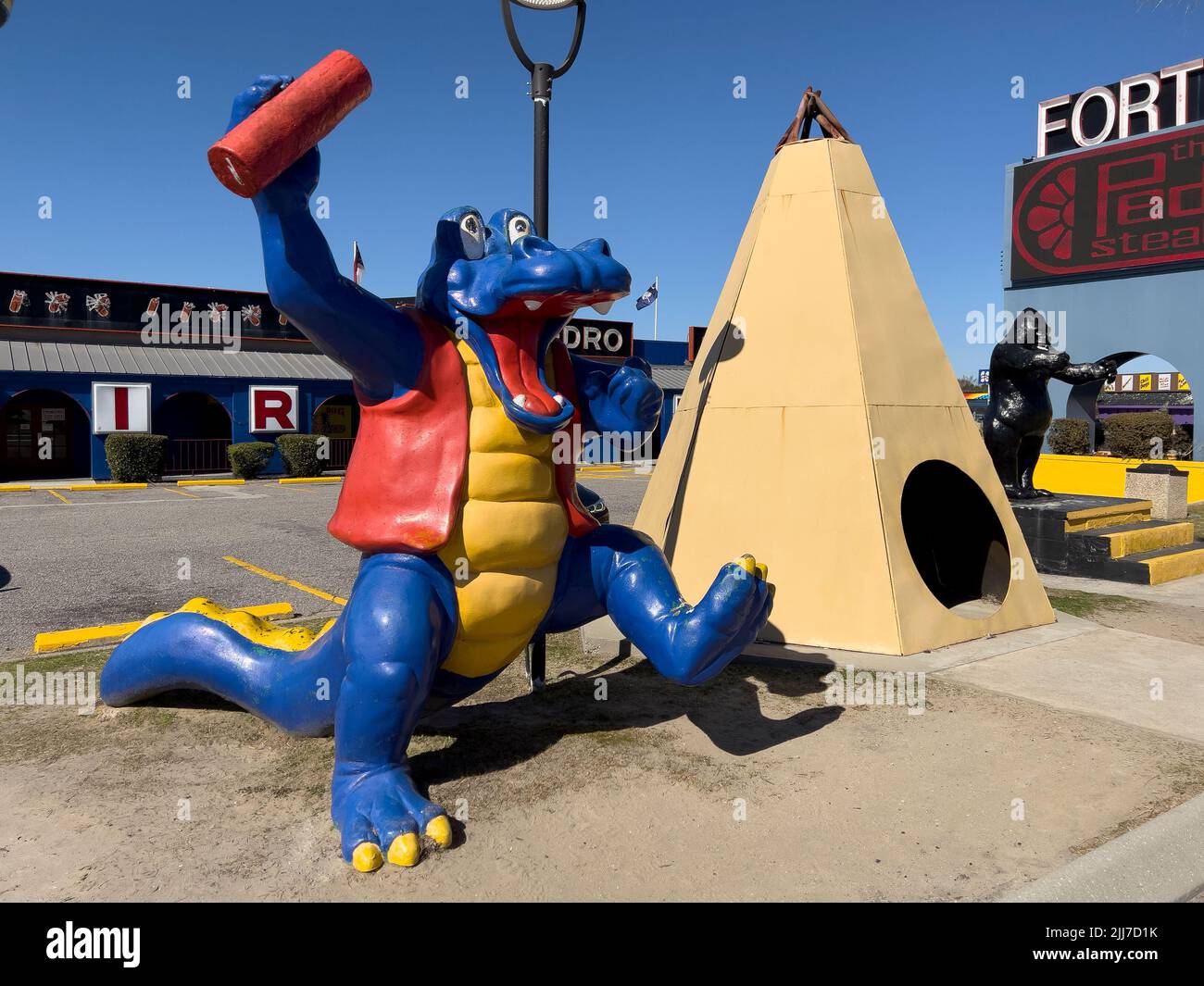 2/20/22, Hamer, South Carolina South of the Border roadside