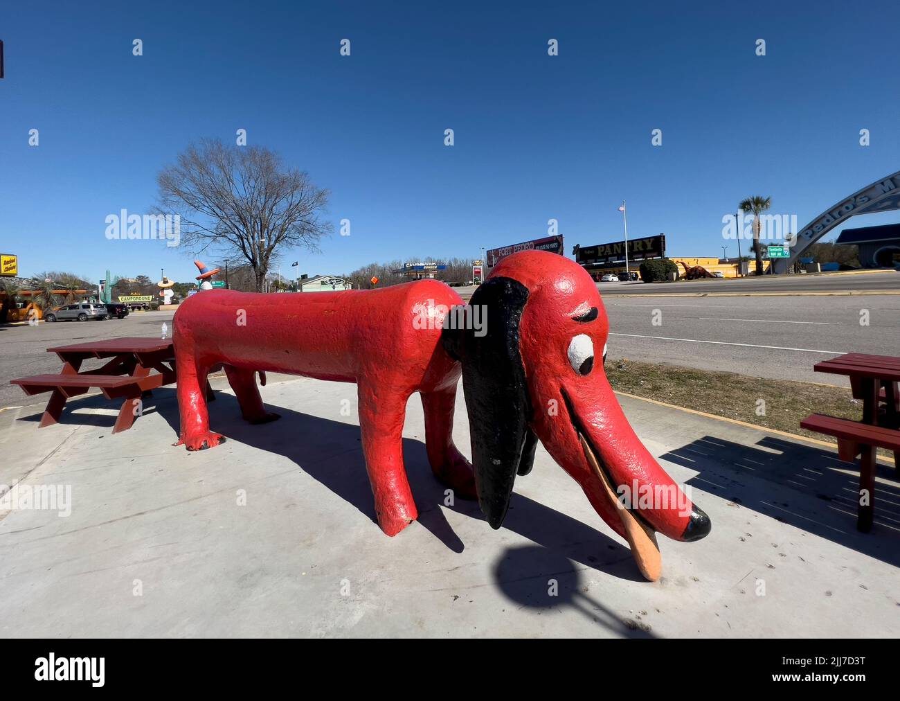 2/20/22, Hamer, South Carolina South of the Border roadside