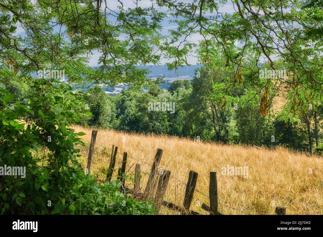 Overgrown farmland with a fence surrounding a field. Landscape of a