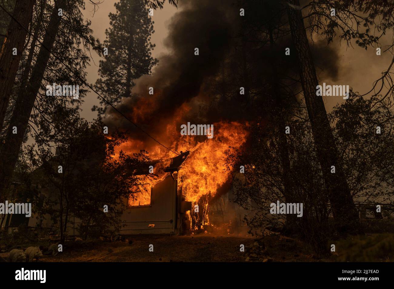 A house is seen on fire as the Oak Fire burns near Darrah in Mariposa County, California, U.S. July 23, 2022. REUTERS/Carlos Barria Stock Photo