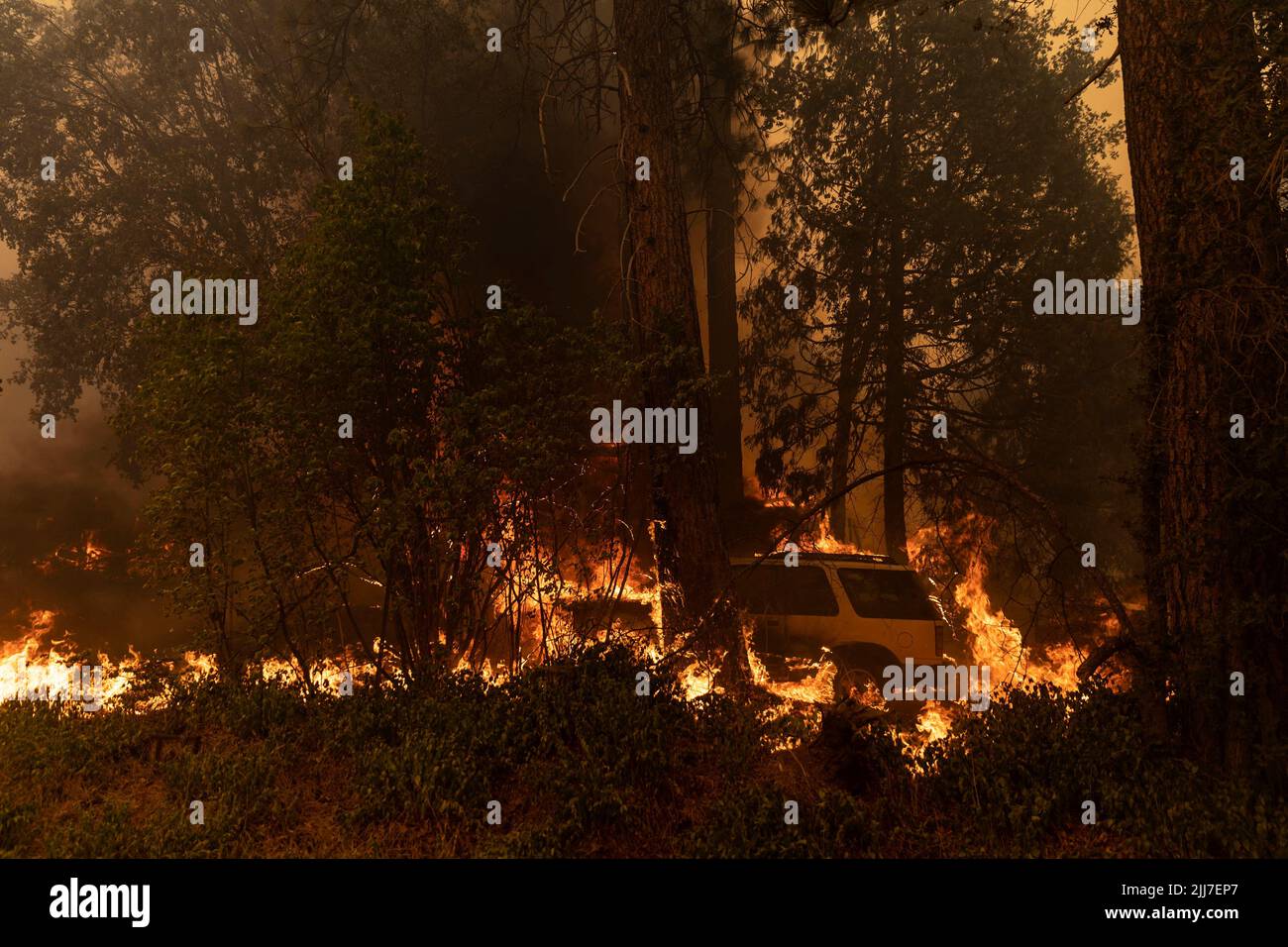 A vehicle is seen on fire as the Oak Fire burns near Darrah in Mariposa County, California, U.S. July 23, 2022. REUTERS/Carlos Barria Stock Photo