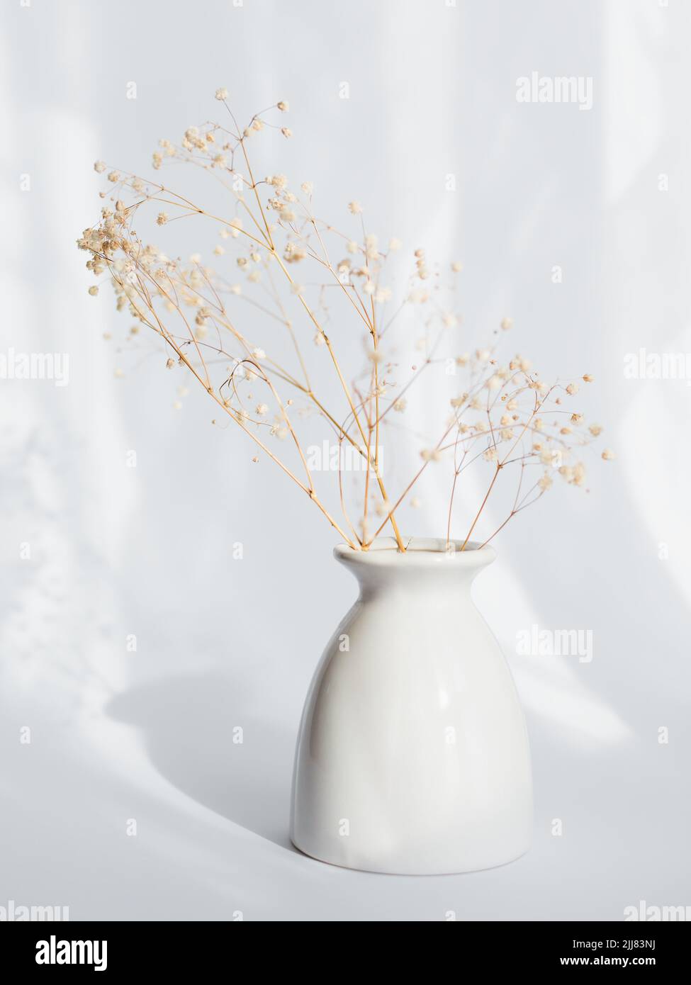 Bouquet of Dry Gypsophila Flowers in a White Vase Stock Photo Alamy