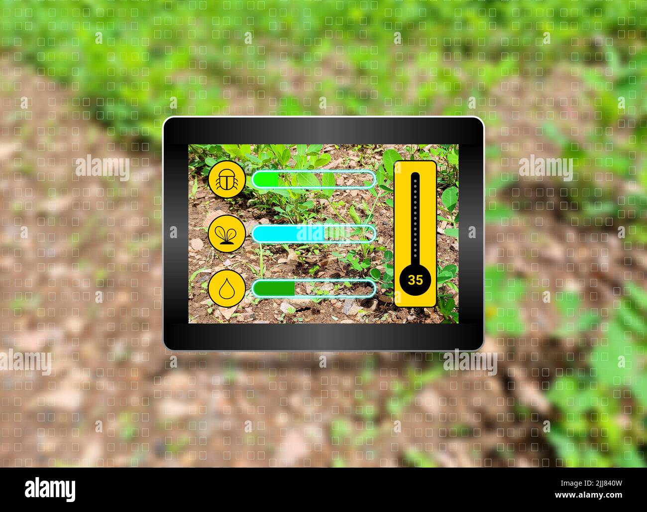using samrt tablet for farming concept. new generation apps showing all about farm and manage farm. Stock Photo