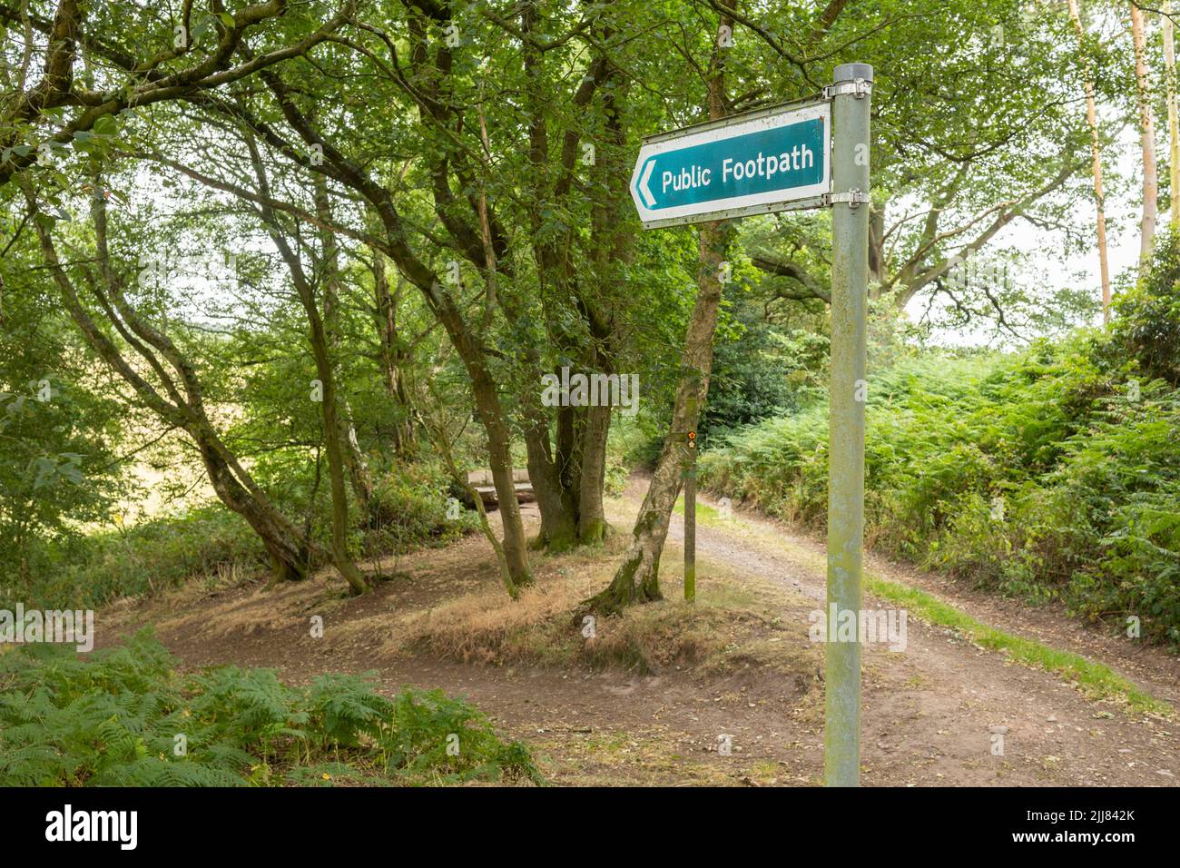 green public Footpath Sign against a woodland backdrop Stock Photo