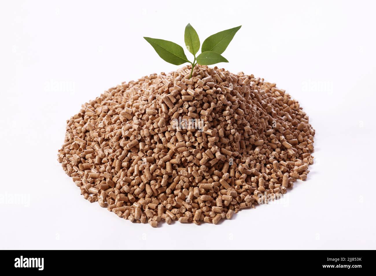 From above of fresh green plant on heap of compressed fuel pellets stacked on white background Stock Photo