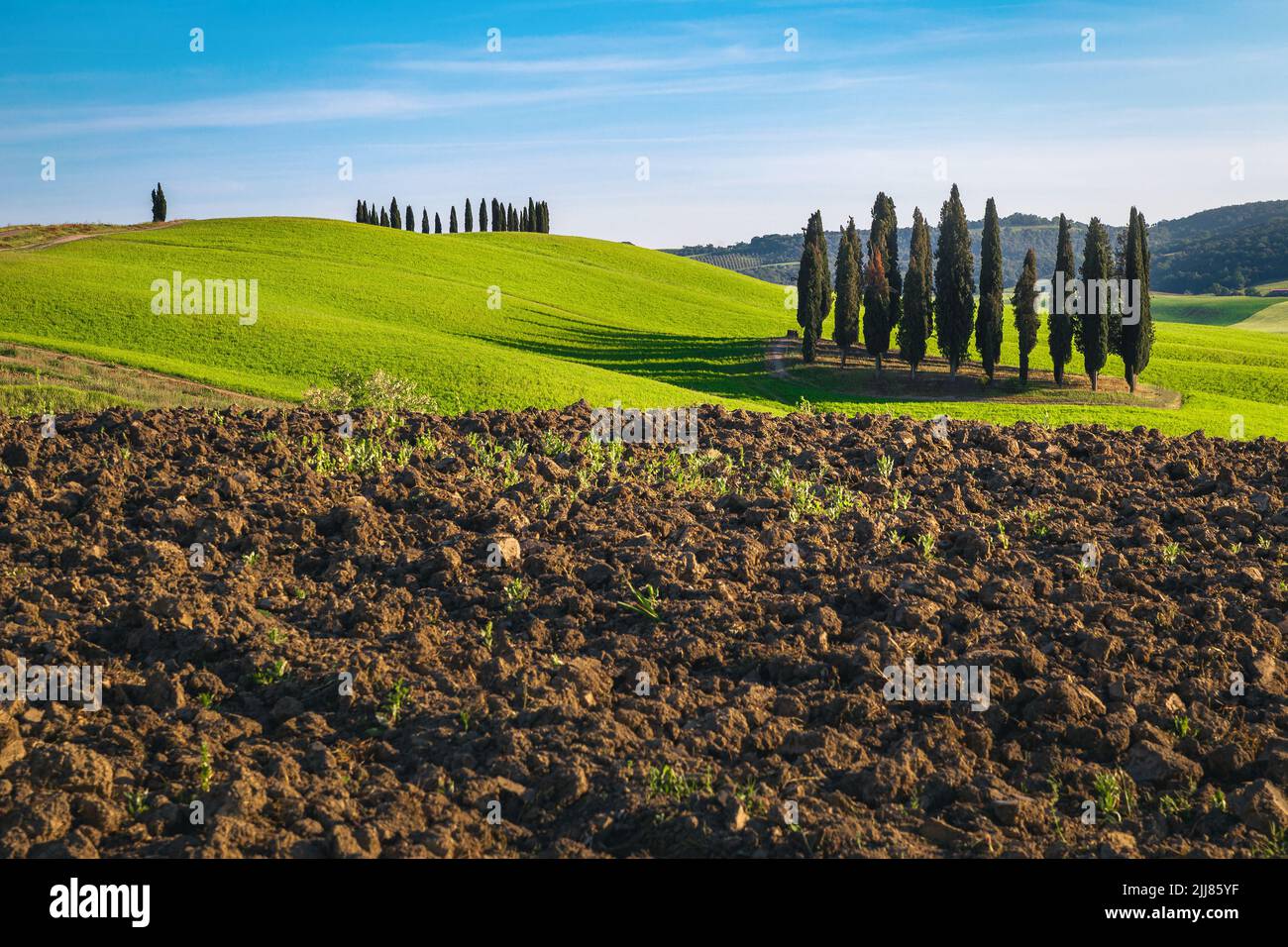 Majestic summer plowed fields with cypress trees and agricultural fields in Tuscany, Italy, Europe Stock Photo