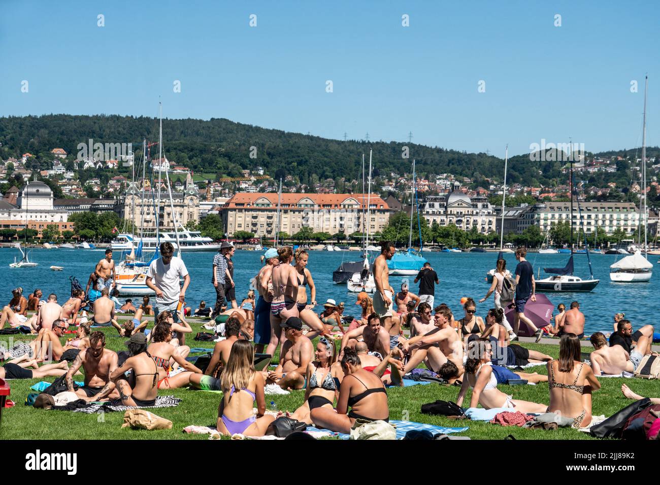 Liegewiese am See in Zürich, Rentenwiese, Sommer, Schweiz Stock Photo