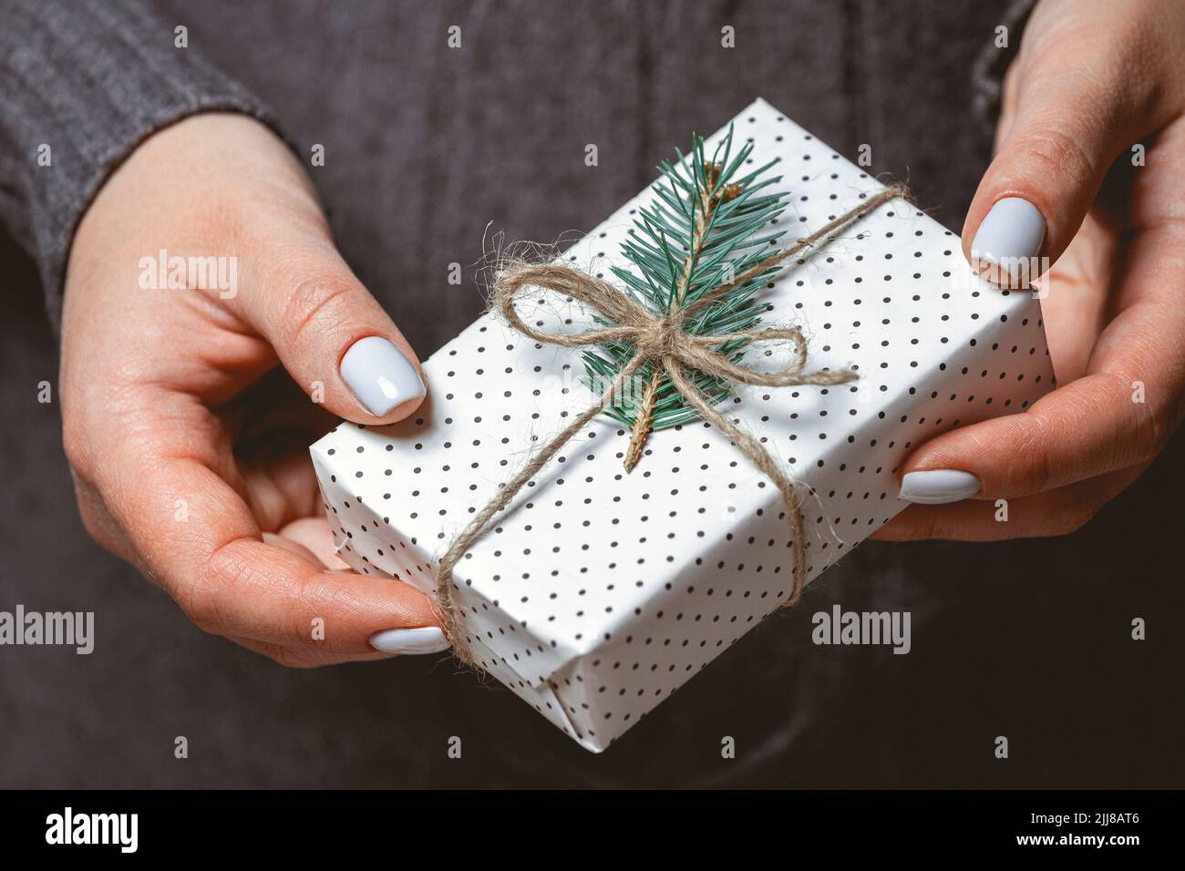 Cute Christmas gift in female hands on background Stock Photo