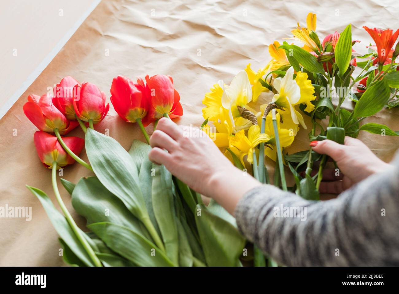floral workshop flower assortment tulip narcissus Stock Photo