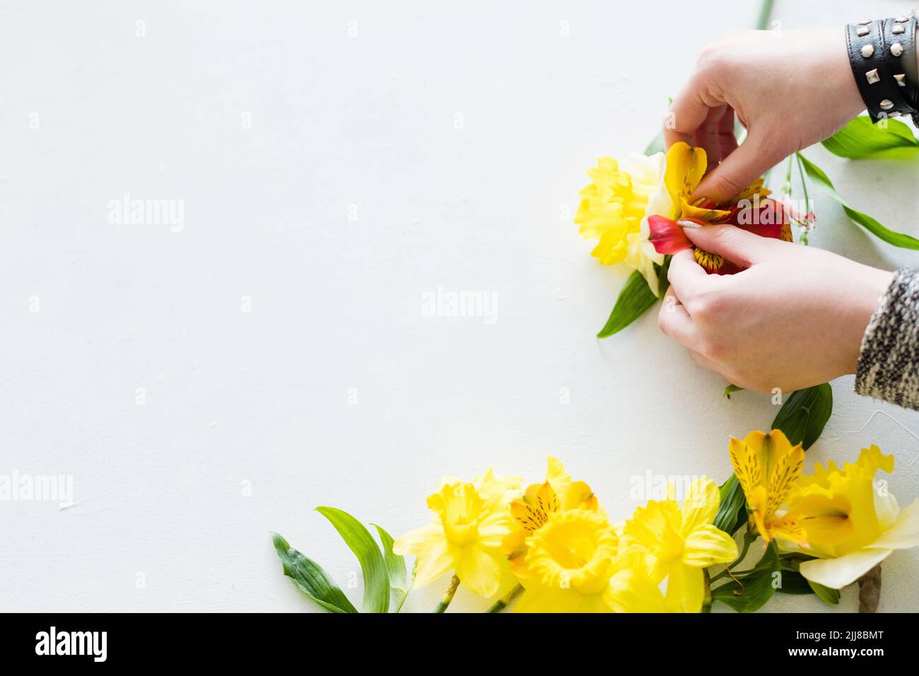 flower arranging florist narcissus composition Stock Photo