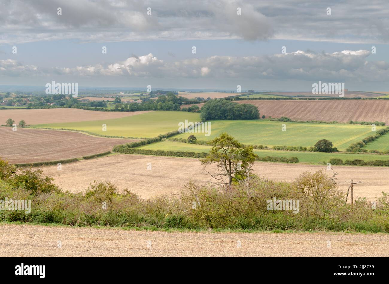 summer landscape with harvest fields Stock Photo