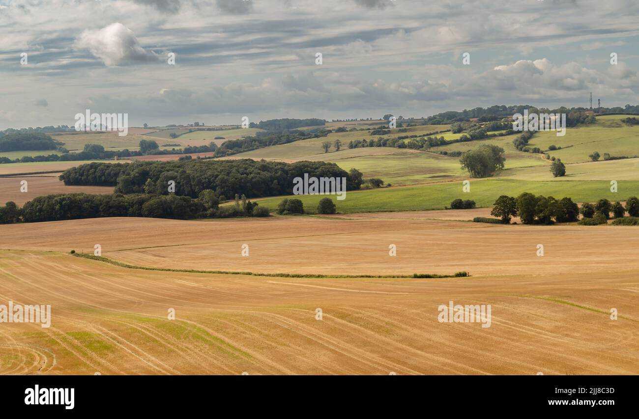 Rural landscape in summer Stock Photo