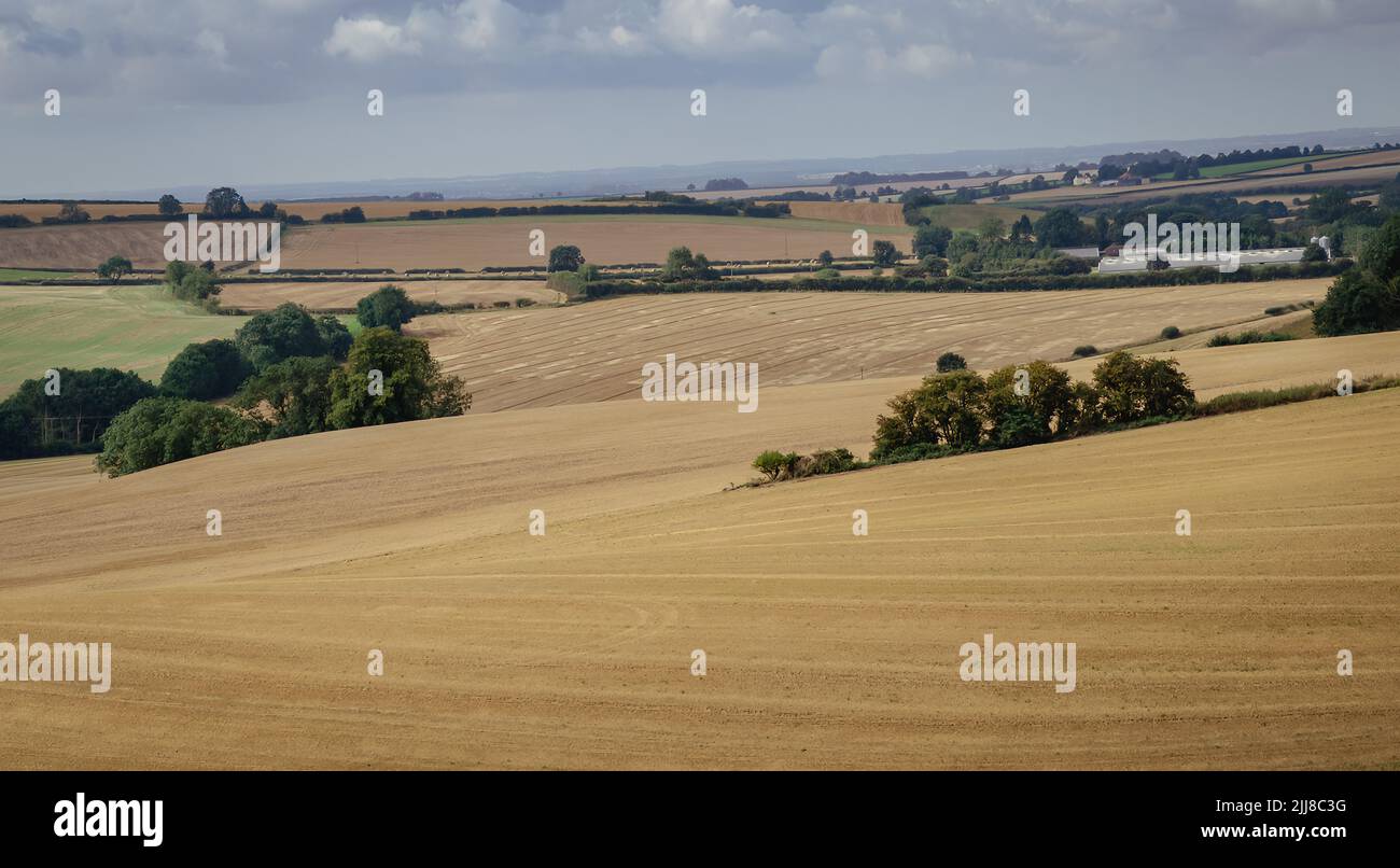 Harvest time landscape Stock Photo