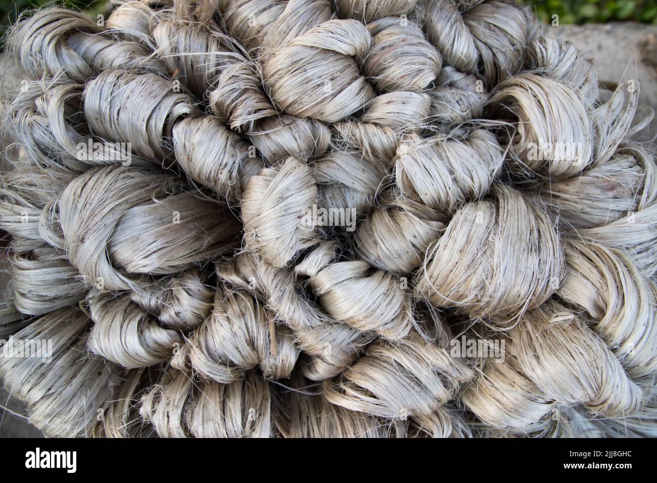 Raw Jute Fibre