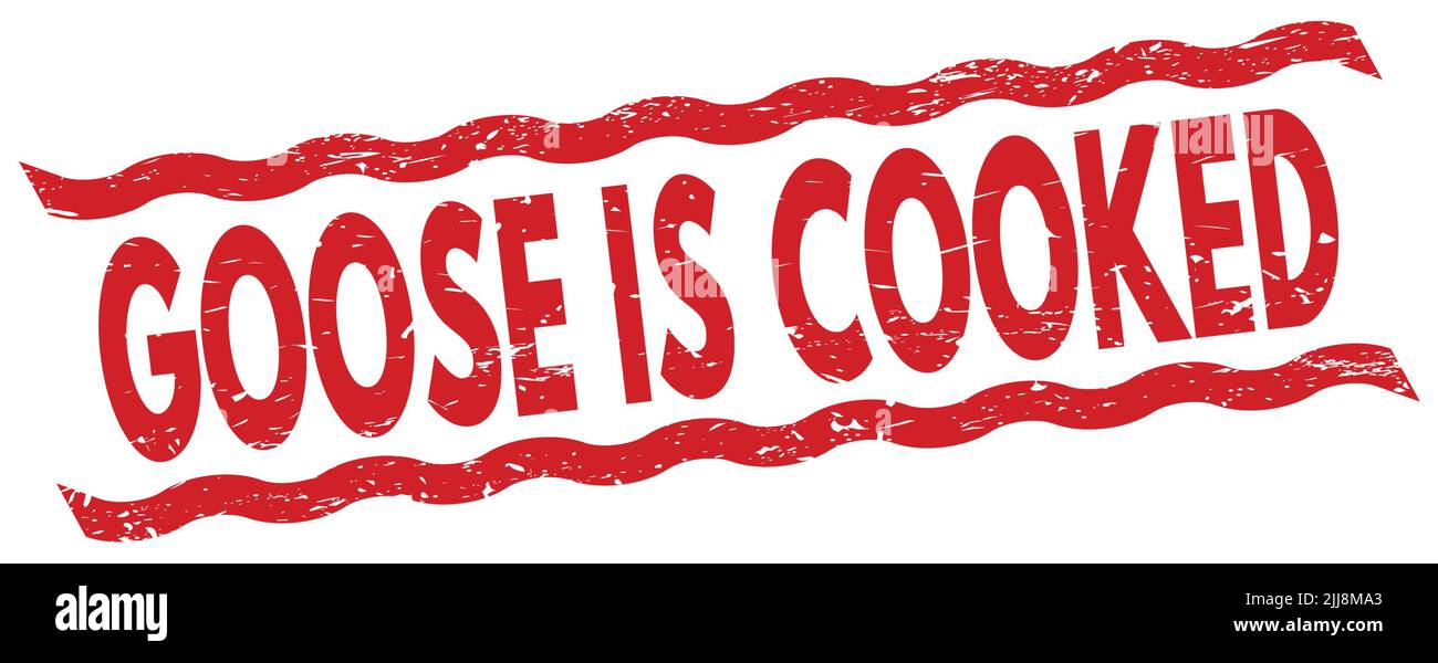 GOOSE IS COOKED text written on red lines stamp sign. Stock Photo