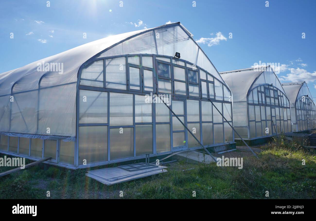 Greenhouse outside view. Agricultural eco farming and farming for