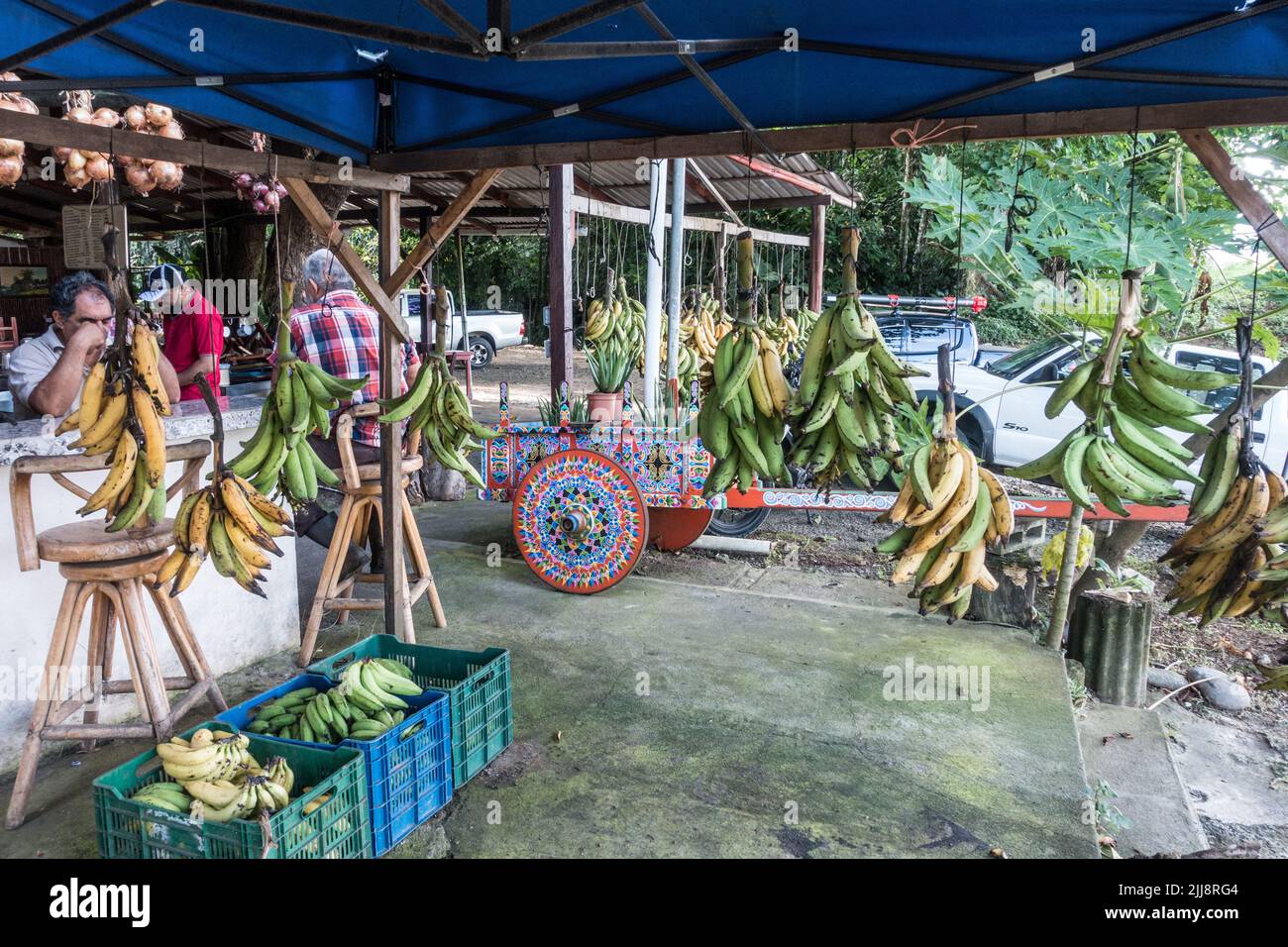 Bunches of plantains are suspended around a hand painted ox cart in a