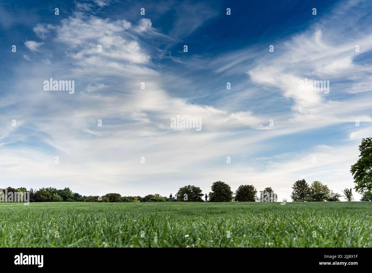 Summer lanscape of the middow and blue sky with clouds. Vienna, Austria. Nature background Stock Photo