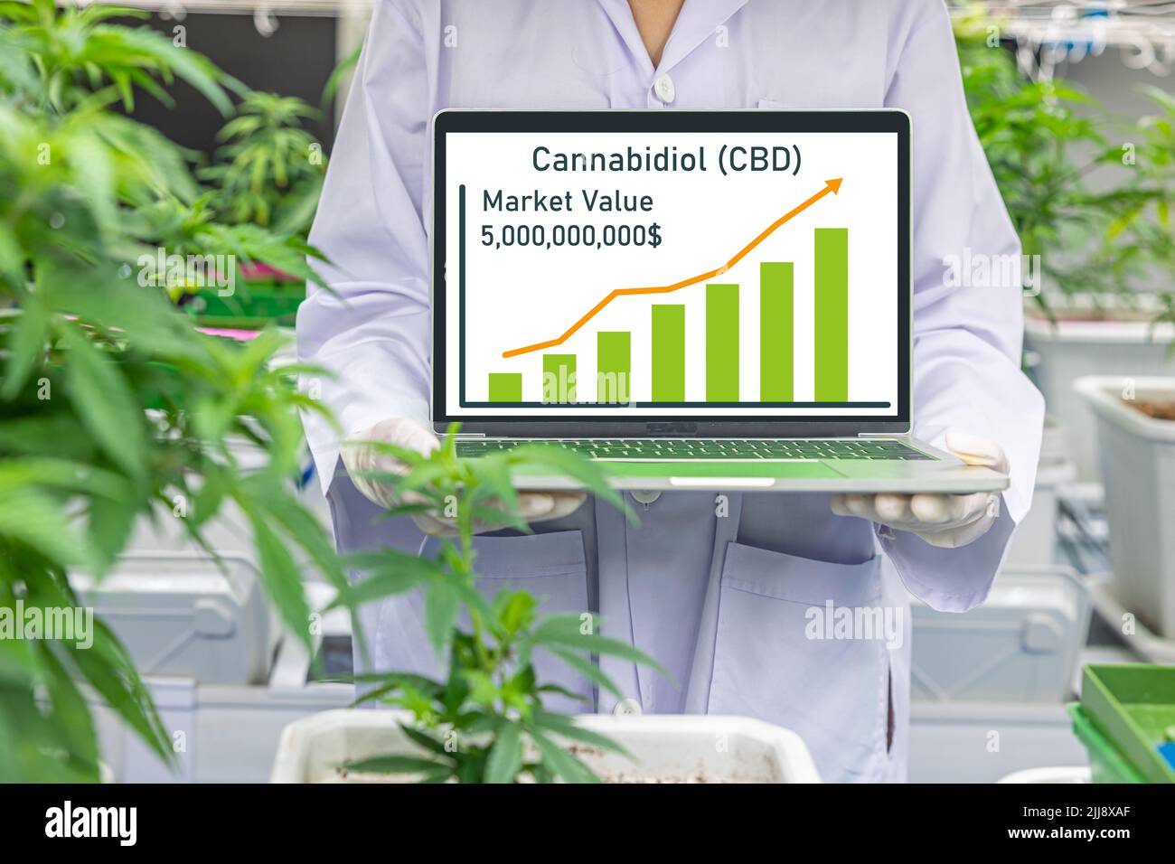 Cannabidiol or CBD products Market size value annual growth rate up rise high concept. Stock Photo