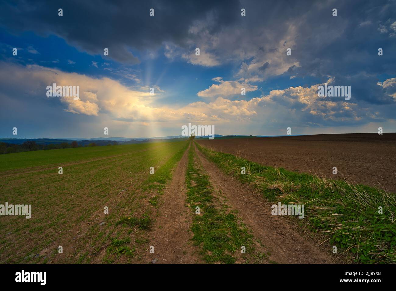 A narrow earthy road in the countryside amid fields under the gloomy ...