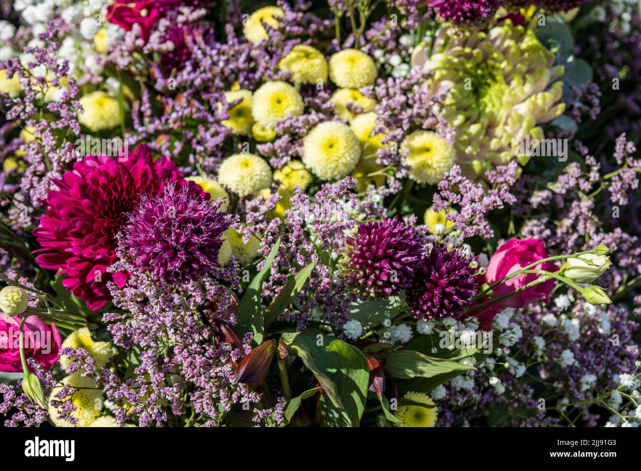 Bouquet of summer flowers, Münster, Westphalia, North Rhine-Westphalia, Germany Stock Photo