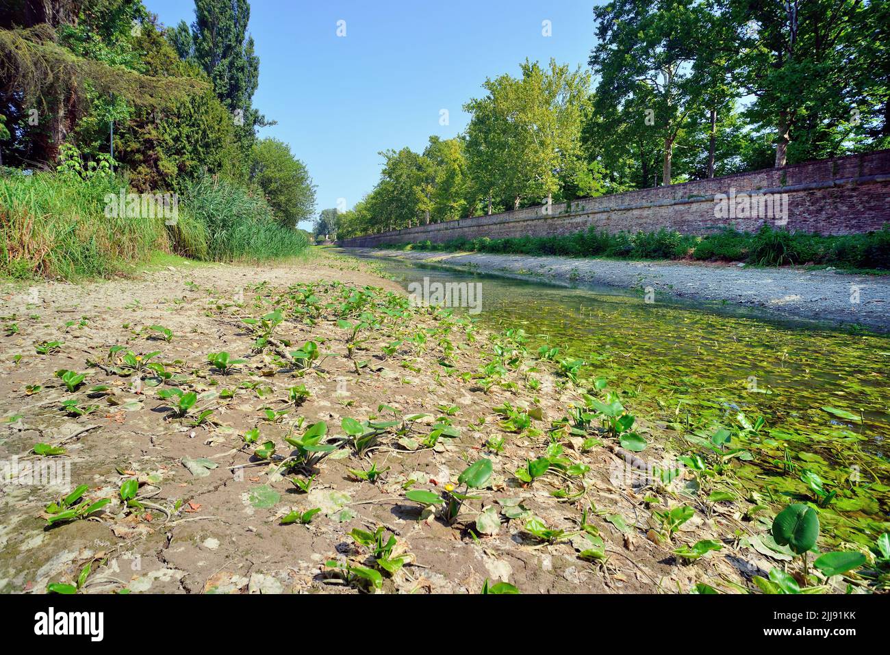 Padua, Veneto, Italy. The master branch of the Bacchiglione river in low water, The drought affecting Northern Italy shows no sign of abating. After 200 days without rain and a winter without snow, the level of the rivers is at an all-time low. Serious damage to agriculture. The river level has dropped several meters. The river bed is almost dry. Stock Photo