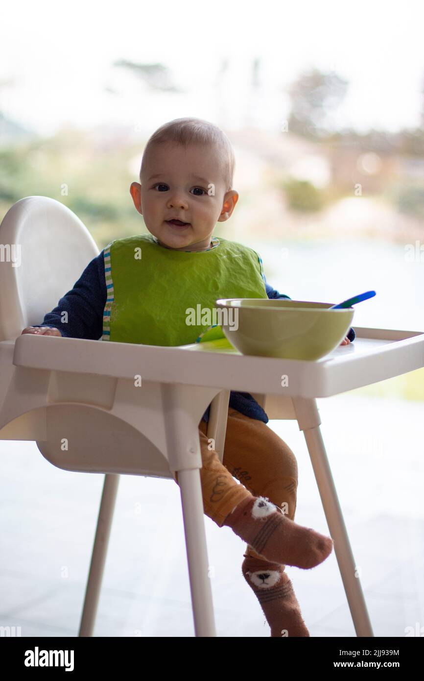 Little toddler eating on high chair, happy baby boy full body view, learning to eat and has food