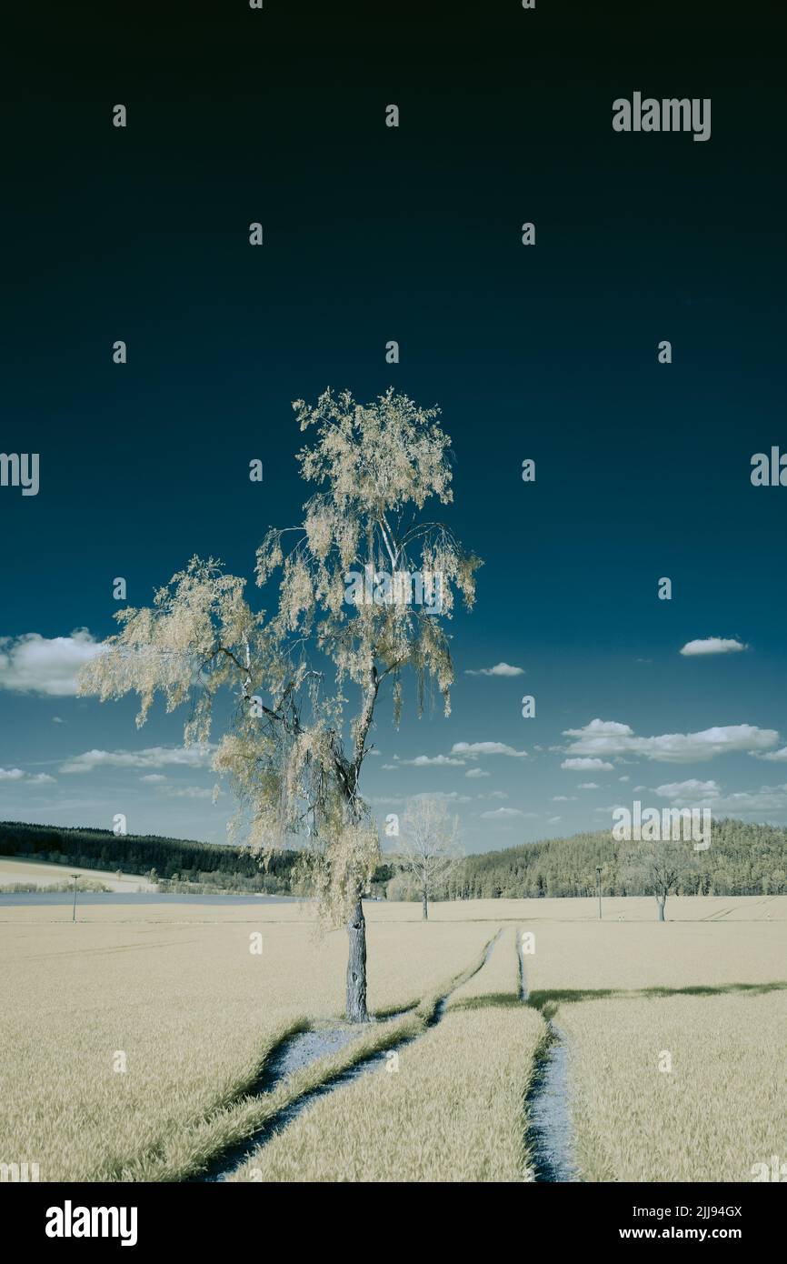 A vertical infrared shot of a lonely tree growing in the field Stock ...