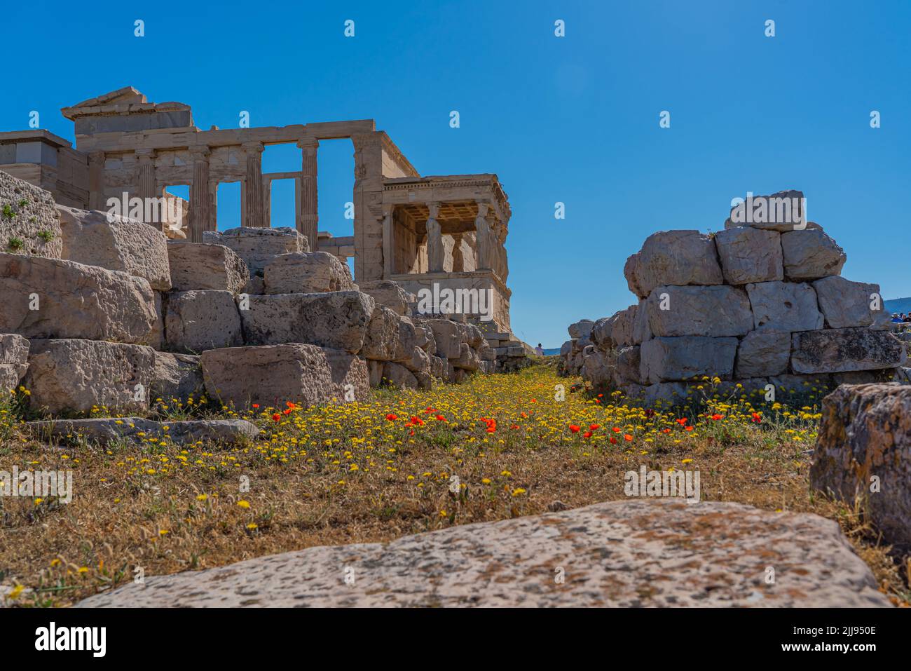 Flowers infront Pandroseion, the sanctuary dedicated to Pandrosus on the Acropolis of Athens Stock Photo