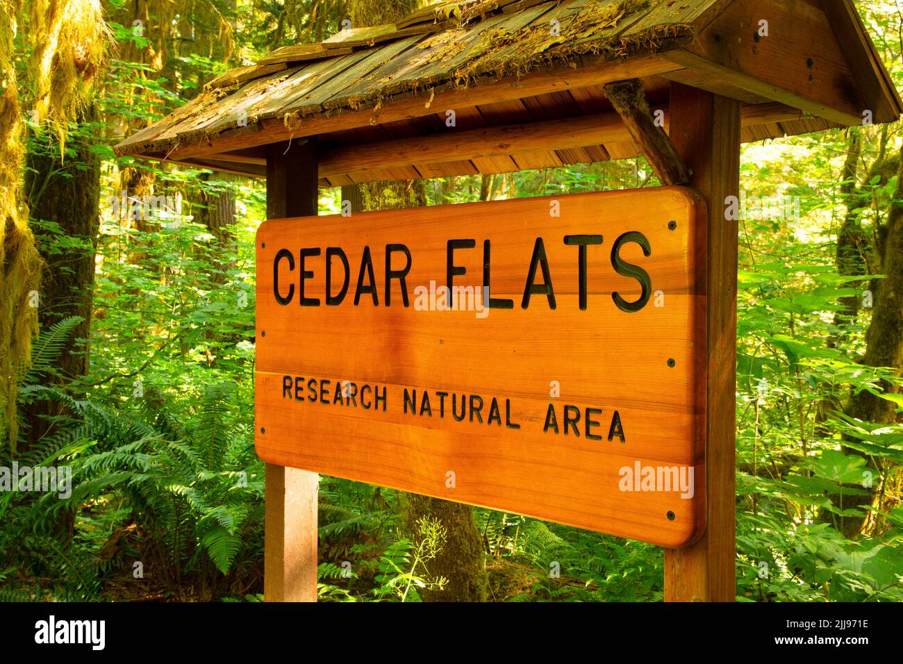 Cedar Flats Trail trailhead sign, Cedar Flats Research Natural Area, Gifford Pinchot National Forest, Washington Stock Photo