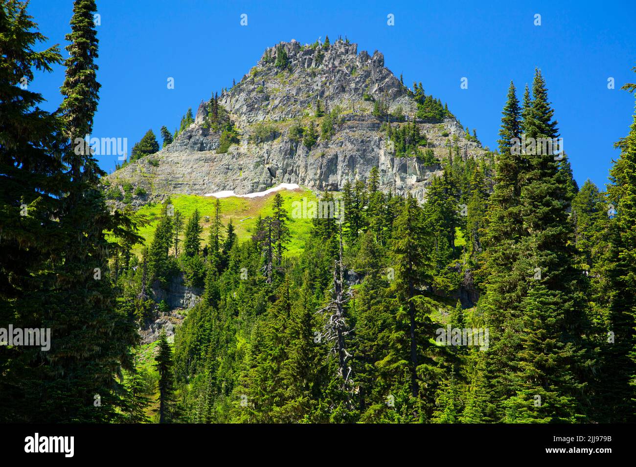 Yakima Peak from Chinook Pass Overlook, Mather Memorial Parkway, Wenatchee National Forest, Washington Stock Photo