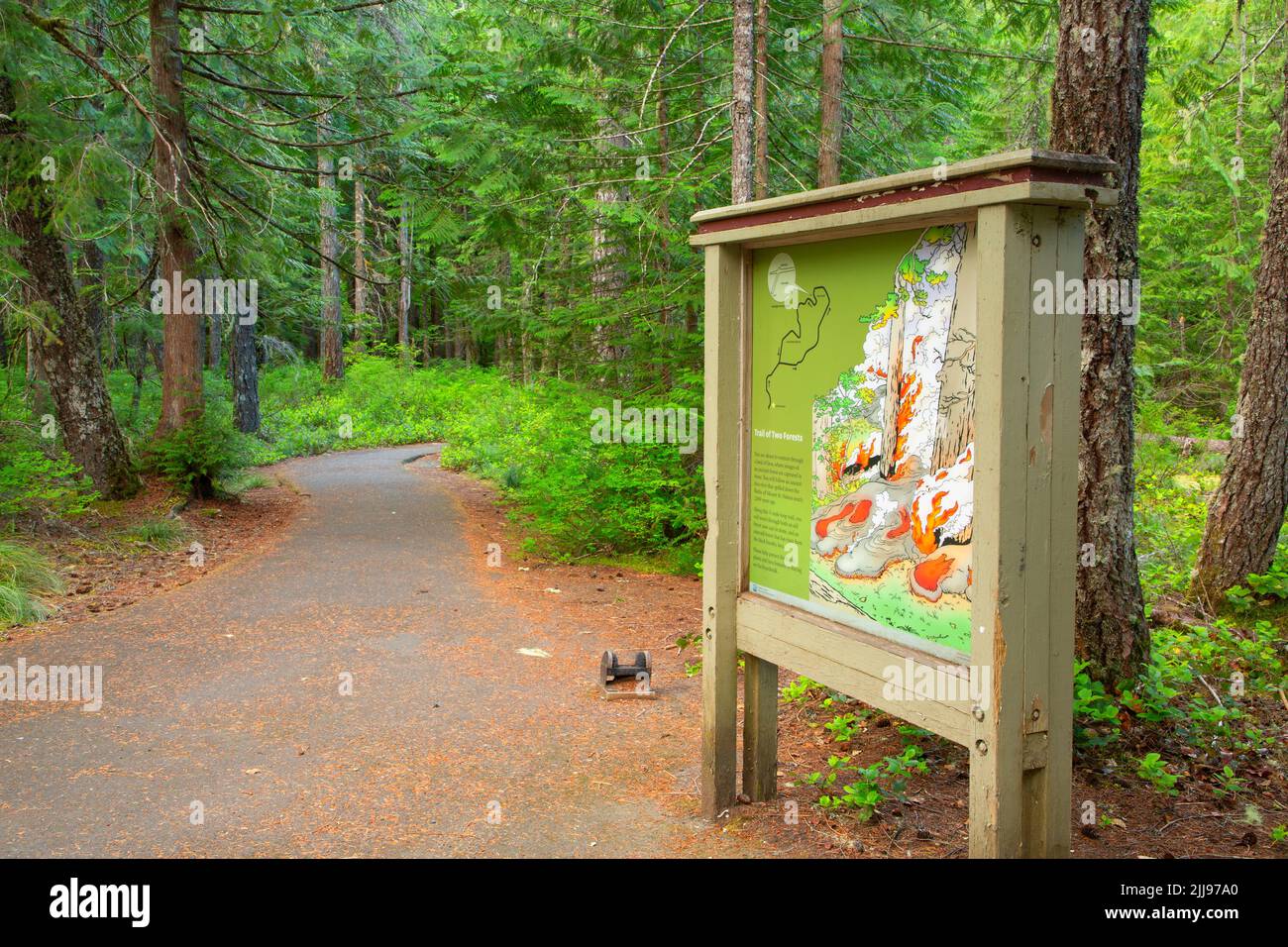Trail of Two Forests trailhead kiosk, Mt St Helens National Volcanic Monument, Washington Stock Photo