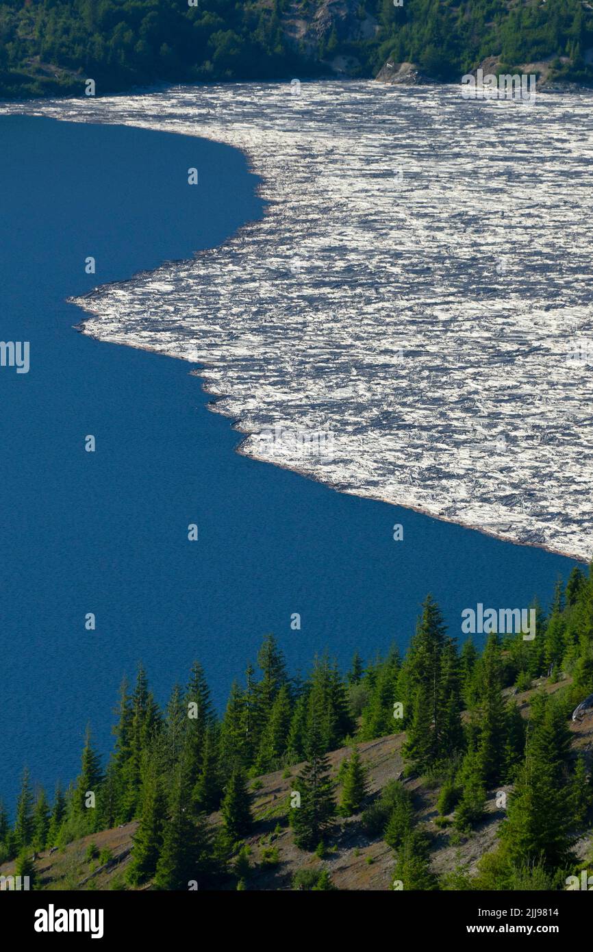 Spirit Lake with logs, Mt St Helens National Volcanic Monument, Washington Stock Photo