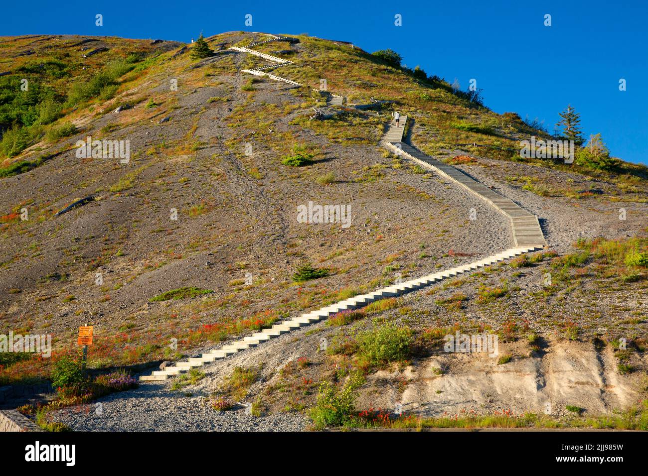 Trail at Windy Ridge, Mt St Helens National Volcanic Monument, Washington Stock Photo
