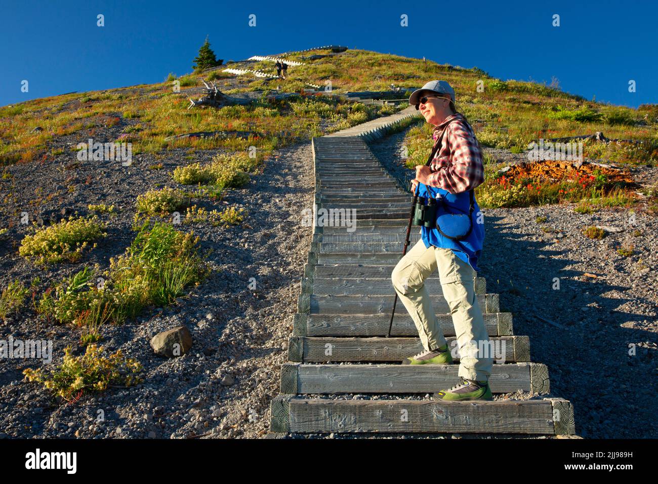 Trail at Windy Ridge, Mt St Helens National Volcanic Monument ...