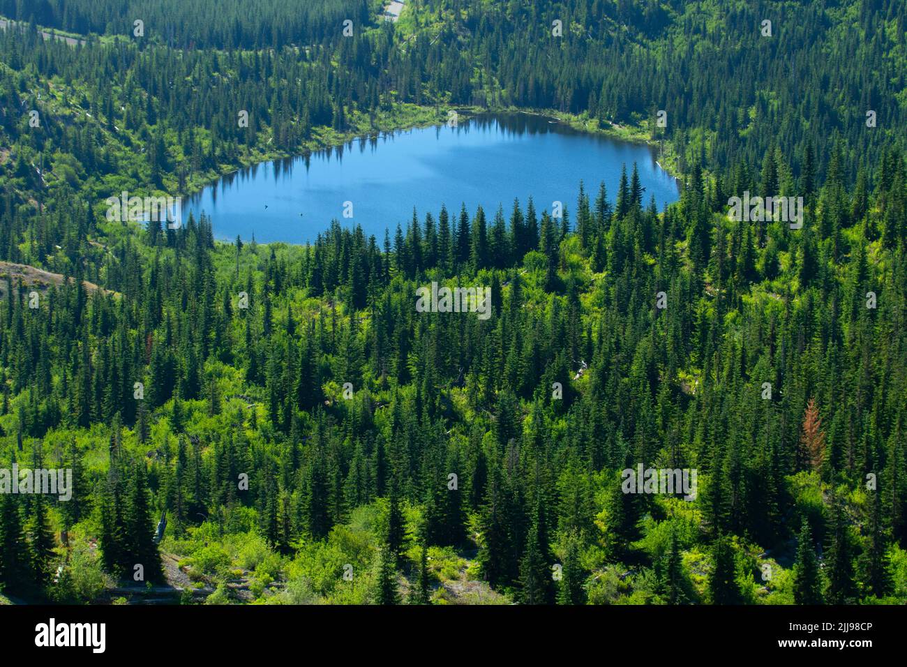 Meta Lake from Boundary Trail, Mt St Helens National Volcanic Monument, Washington Stock Photo