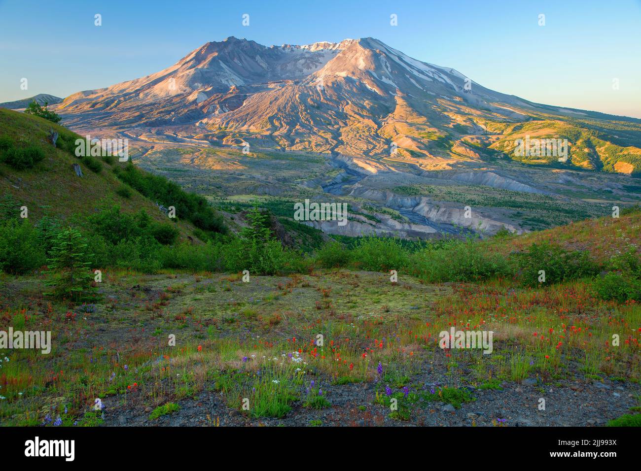Mt St Helens from Johnston Ridge, Mt St Helens National Volcanic