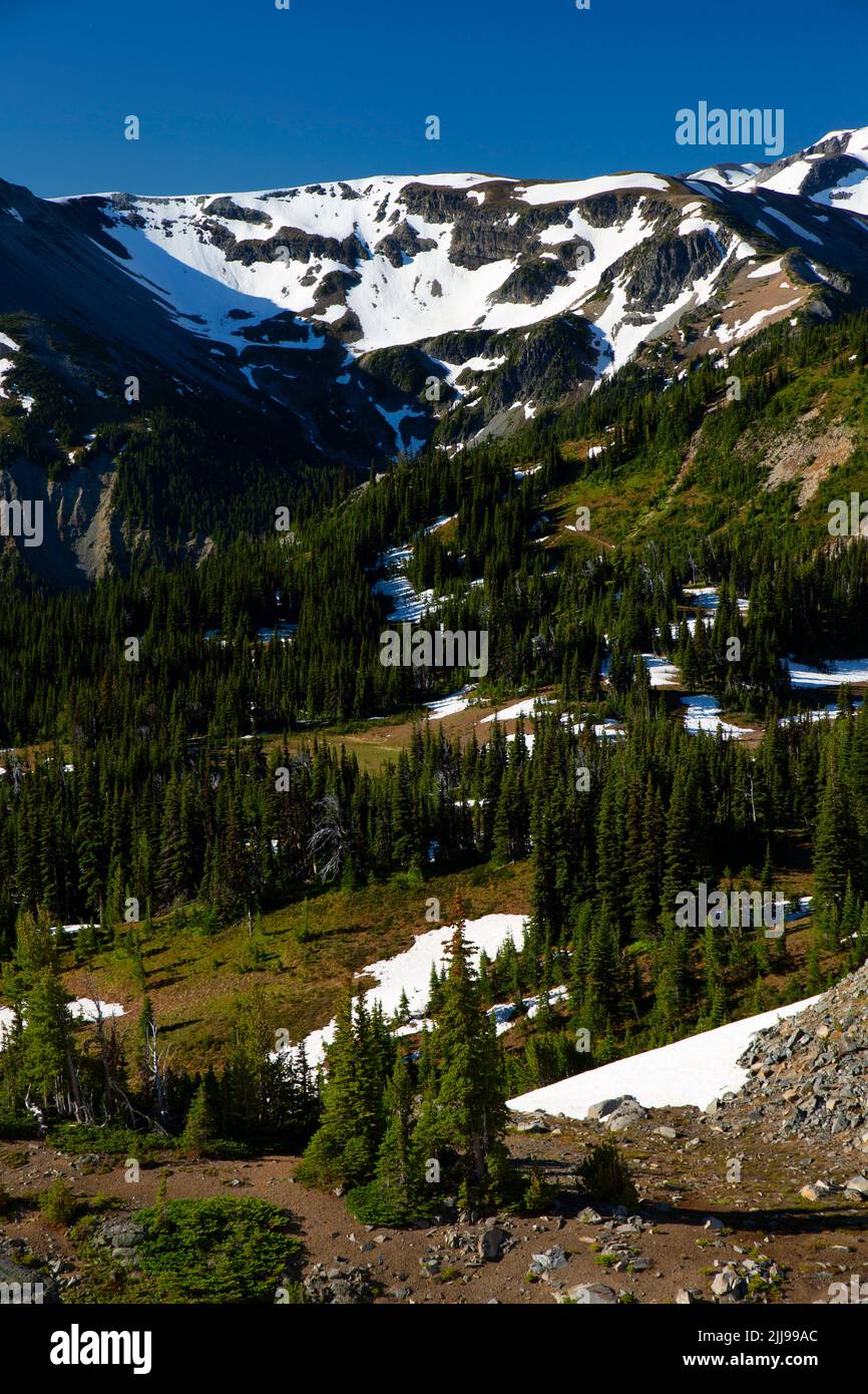Goat Island Mountain from Sourdough Ridge Trail, Mt Rainier National Park, Washington Stock Photo