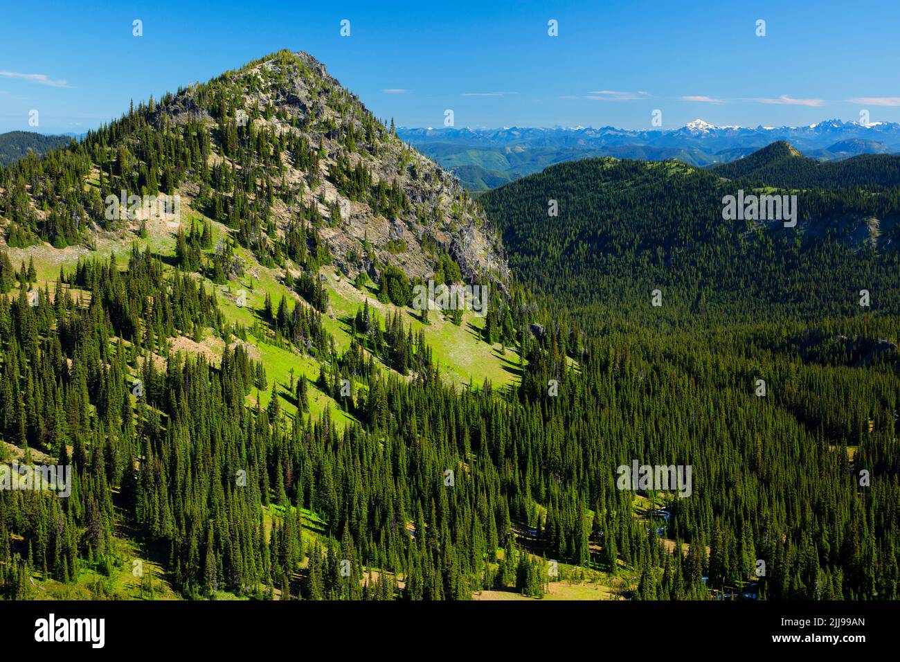 McNeeley Peak from Sourdough Ridge Trail, Mt Rainier National Park, Washington Stock Photo