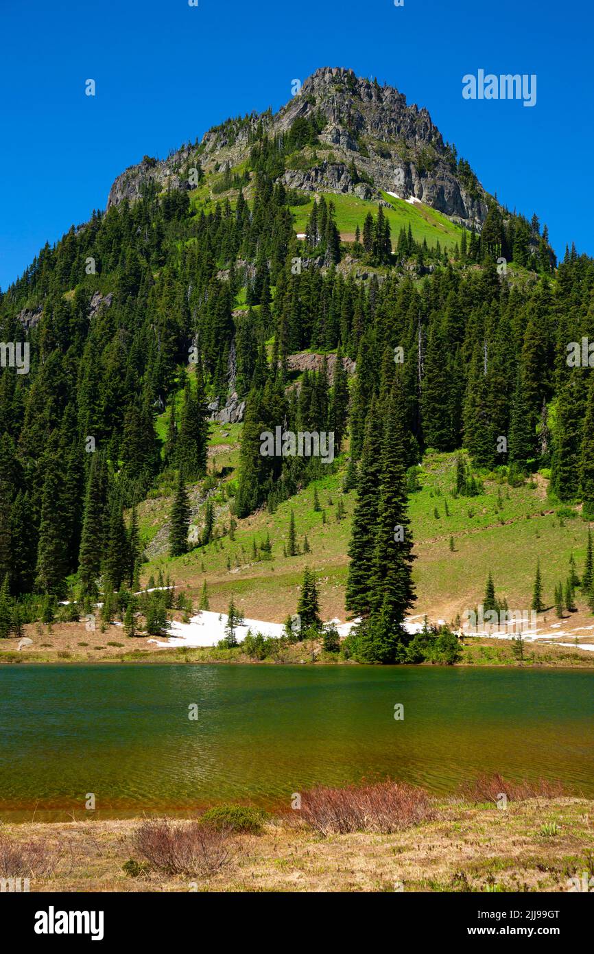 Yakima Peak From Tipsoo Lake Mt Rainier National Park Washington 