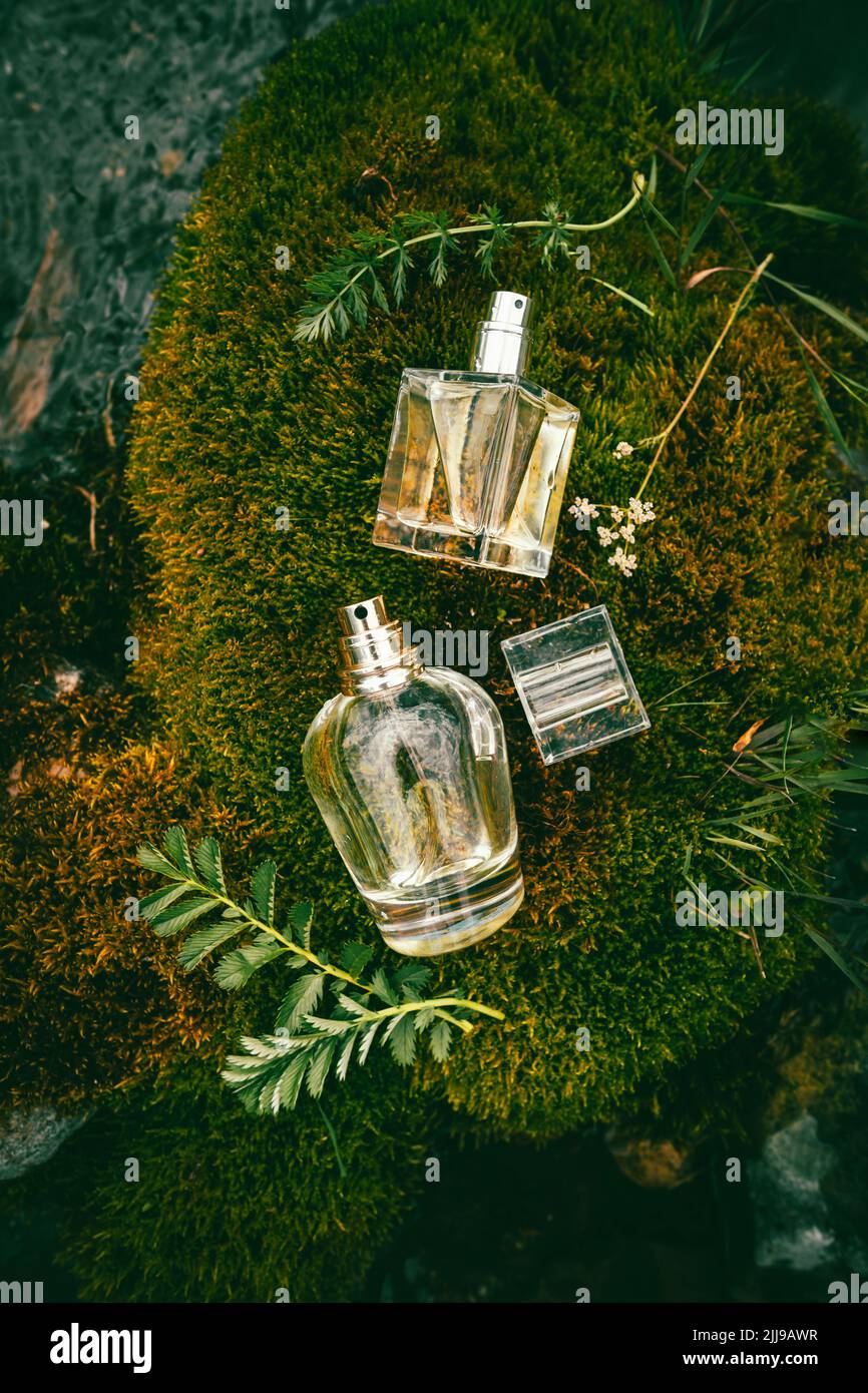 Two different glass perfume bottles lie on green moss close-up, flat lay Stock Photo