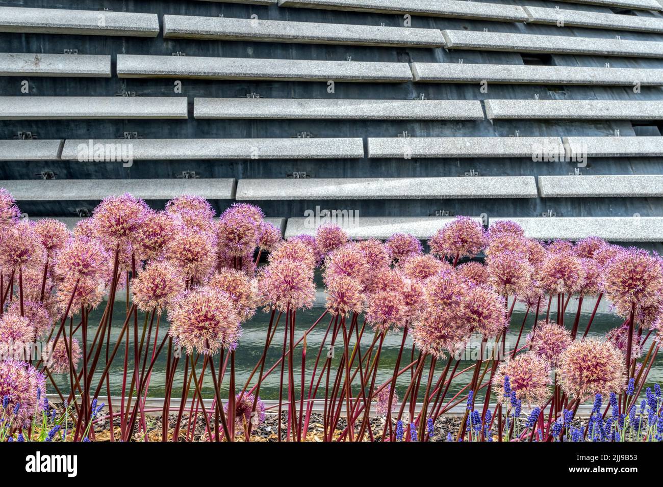 Detail of planting and cladding at the V&A, Dundee. Designed by Kengo Kuma. Stock Photo