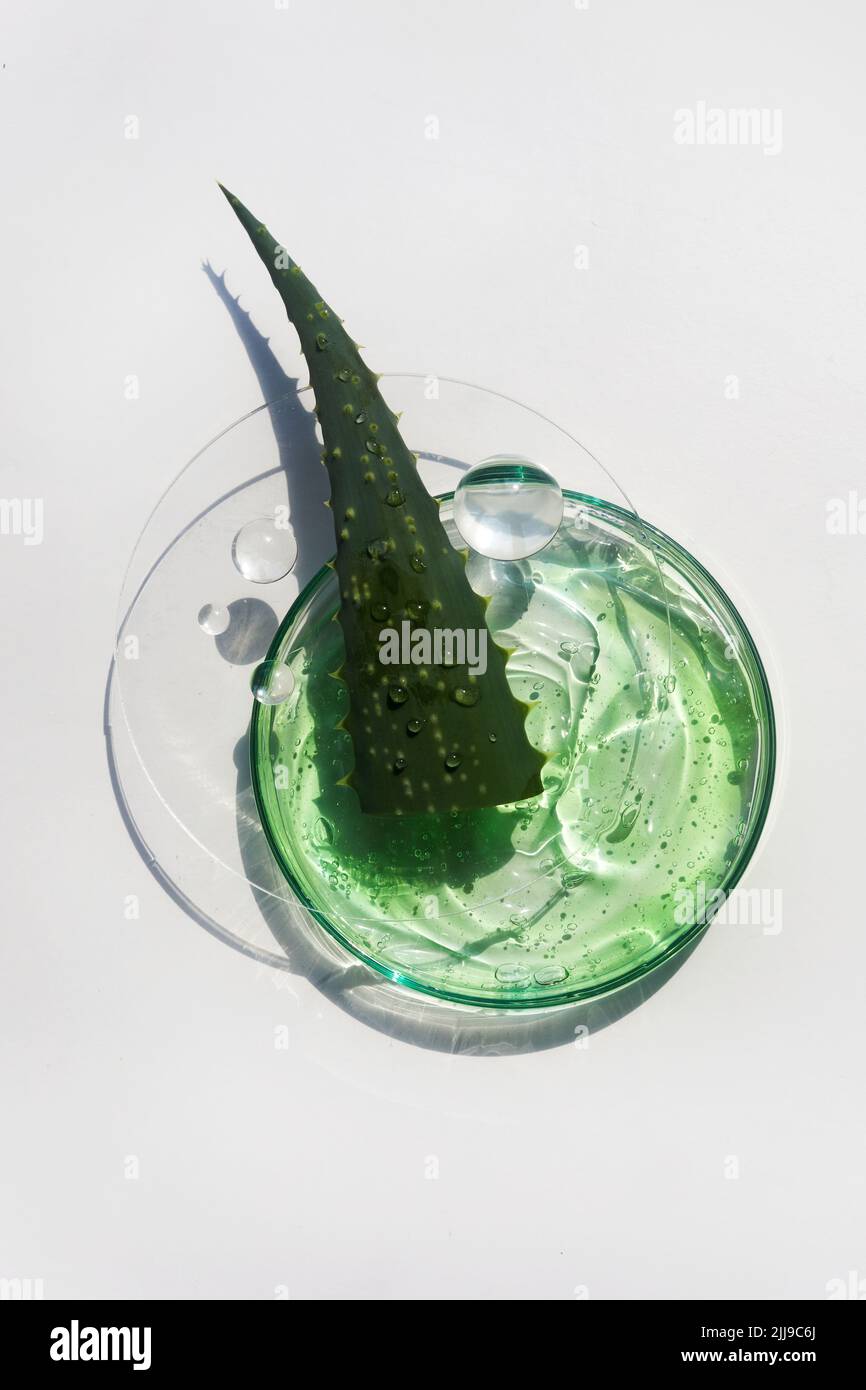 Abstract cosmetic laboratory. Aloe vera cosmetic product, natural ingredients and laboratory glassware. Stock Photo