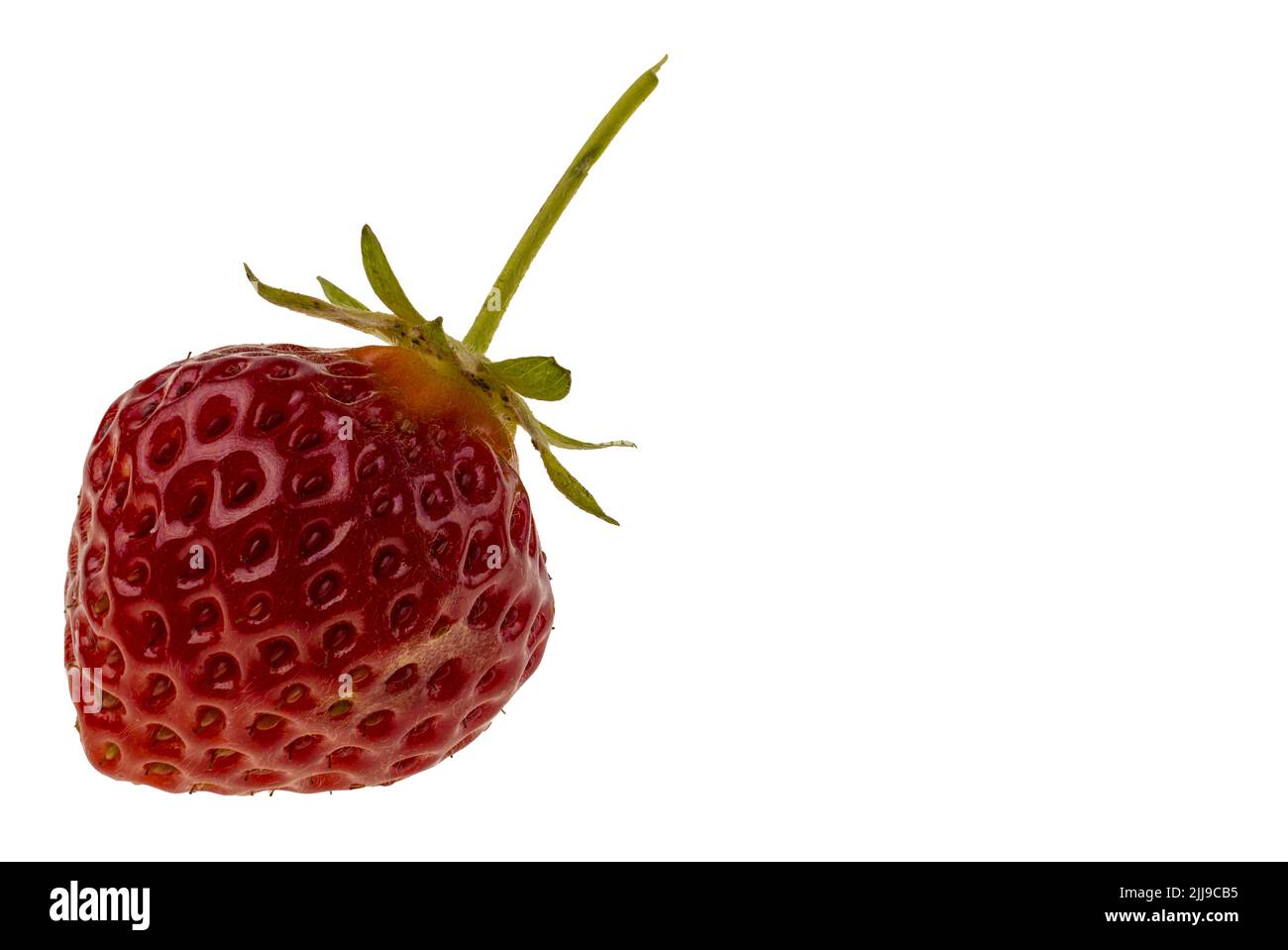 Close up view of ripe red strawberry isolated on white background Stock ...